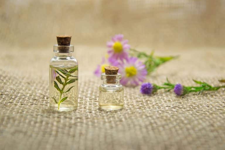 Huile de ricin et ongles fragiles : mythe ou réalité ?